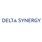 Delta Synergy - Team Building